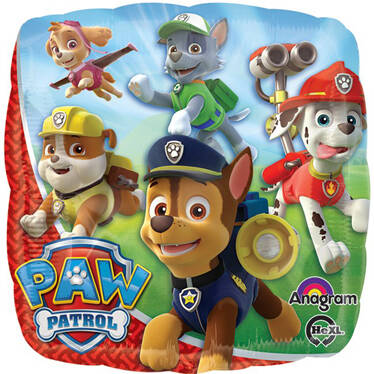 Paw Patrol Party