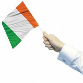 Ireland waving flags