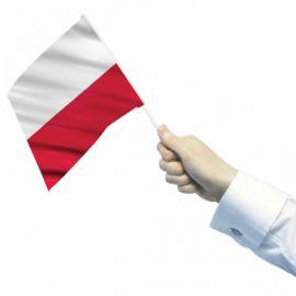 Poland waving flags