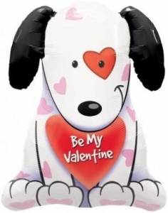 Be my valentine puppy