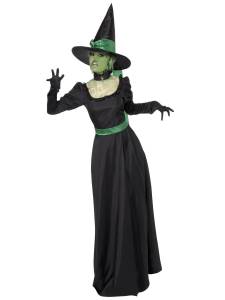 Witch of the West Costume