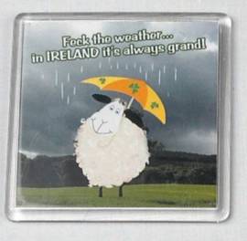 feck the weather...magnet