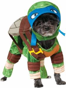 Leonardo Dog Costume